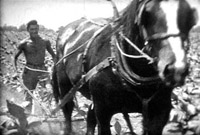 Farmer and horse plowing a field. Black and white still from Massecar film, 1947-1949, location unknown.