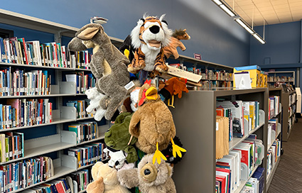 Education Resource Centre Puppets