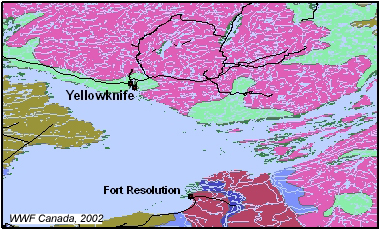 Surficial Geology near Yellowknife