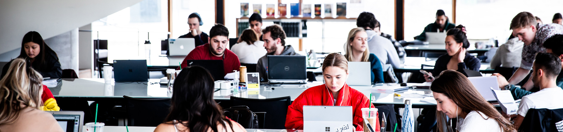 Students studying on laptops
